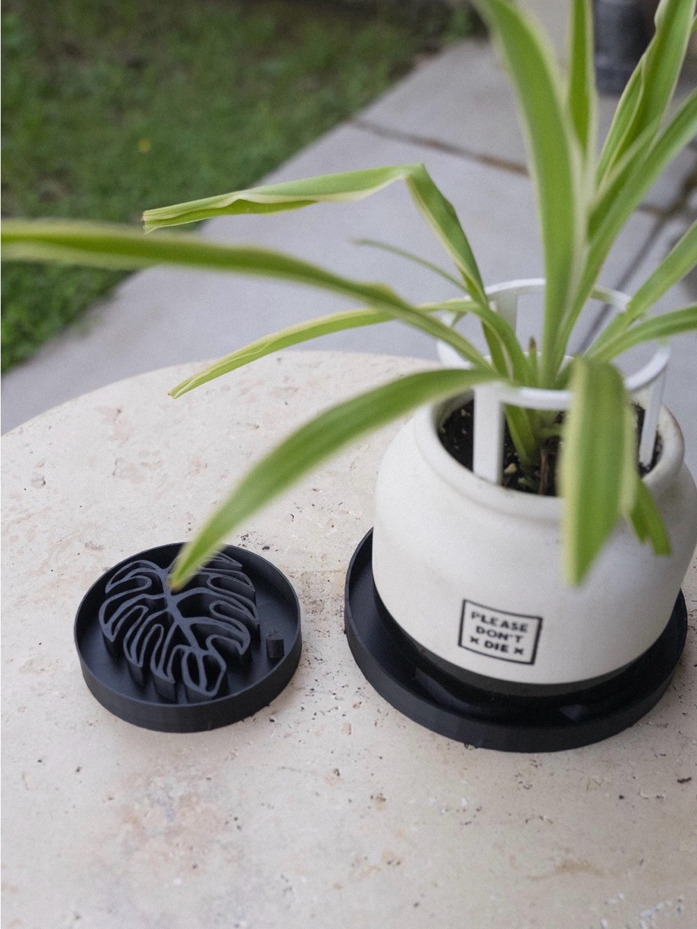 Monstera Leaf Plant Saucer Tray Plant Decor -Size S, 4”w - Picture 6 of 8